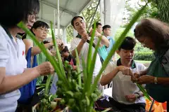 Para peserta di majlis pembukaan Festival Hortikultur menggunakan daun pandan untuk membuat kraf.