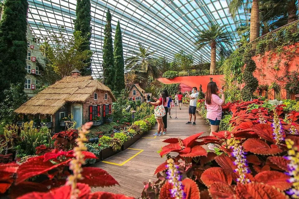 TAMAN 'KEMBANG' SEMULA: Flower Dome akan dibuka semula kepada awam mulai 11 Julai, selepas dibuka kepada anggota Friends of the Gardens Taman di Persisiran sejak 1 Julai. Lebih 11,500 pengunjung telah menempah tiket untuk ke sana. - Foto TAMAN DI PESISIRAN