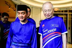 Pilihan Raya MCA Negeri Johor, Barisan Nasional Johor