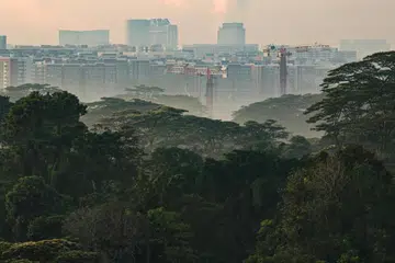 BUAT PENILAIAN: Pakar pemuliharaan berkata laporan itu tidak dapat menilai kesan bagi kesemua projek kerja dan ini menyukarkan untuk menilai sama ada langkah diambil adalah mencukupi. 