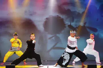 Persembahan seni bela diri daripada pelbagai kumpulan etnik di Singapura.