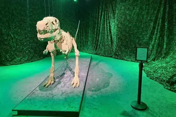 Kanak-kanak pasti teruja melihat rangka dinosaur T-Rex setinggi enam meter di pameran, ‘Art of the Brick’, yang akan dibuka secara rasmi pada 3 September di Dewan 8B, Singapore Expo. 