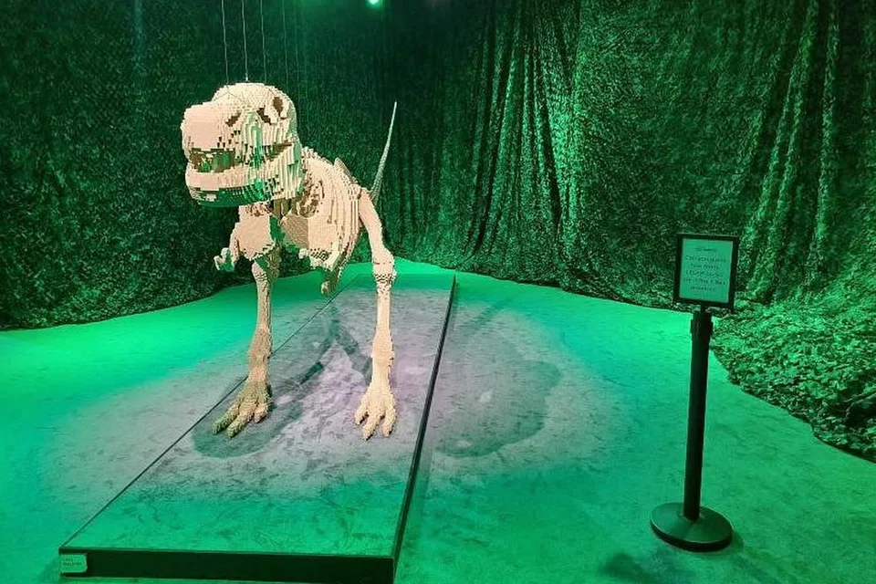 Kanak-kanak pasti teruja melihat rangka dinosaur T-Rex setinggi enam meter di pameran, ‘Art of the Brick’, yang akan dibuka secara rasmi pada 3 September di Dewan 8B, Singapore Expo. 