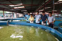 geran ladang Singapura, SFA, kos operasi ladang