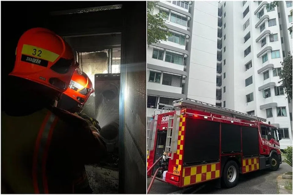 Menurut Pasukan Pertahanan Awam Singapura (SCDF), siasatan awal menunjukkan kebakaran berpunca daripada masalah elektrik pada mesin pengering.
