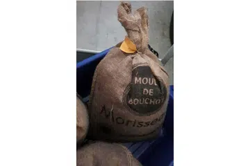TIDAK LAGI DIJUAL: Kupang hidup dari Perancis ditarik balik disebabkan tahap bakteria E.Coli yang tinggi yang ditemui di dalamnya. - Foto SFA.