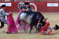 CUBA ALIHKAN PERHATIAN LEMBU: Dua matador cuba mengalihkan perhatian lembu yang menanduk Encik Victor Barrio (kanan) yang sedang membuat persembahan di hadapan penonton. - Foto ST ONLINE