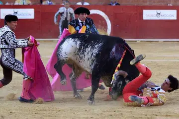 CUBA ALIHKAN PERHATIAN LEMBU: Dua matador cuba mengalihkan perhatian lembu yang menanduk Encik Victor Barrio (kanan) yang sedang membuat persembahan di hadapan penonton. - Foto ST ONLINE