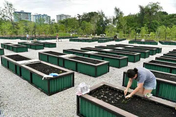 NParks bekerjasama dengan majlis bandaran, pertubuhan akar umbi dan agensi pemerintah yang lain dalam usahanya menyediakan lebih banyak ruang berkebun untuk anggota masyarakat.