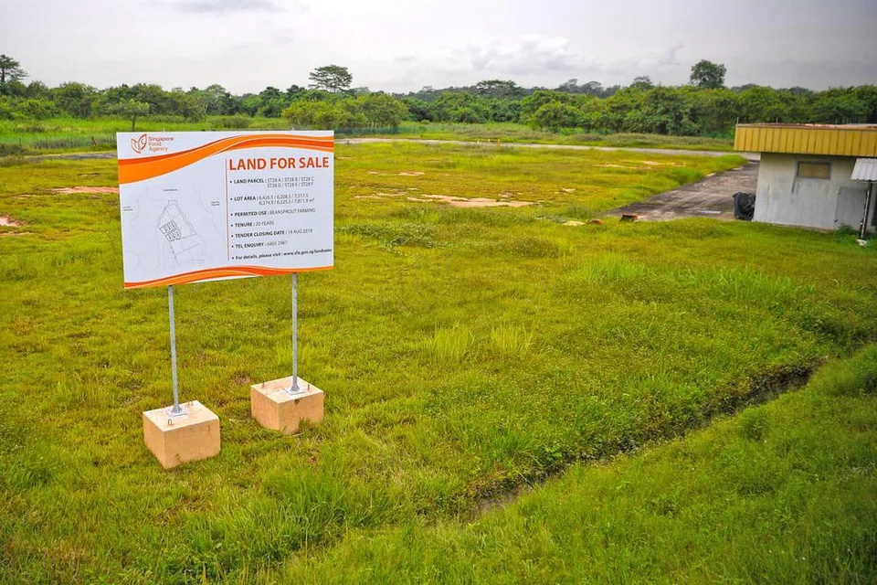 TAPAK TAUGE: Tanah di 28A ke 28F Sungei Tengah Road dikhususkan untuk pertanian. - Foto BH oleh MARK CHEONG