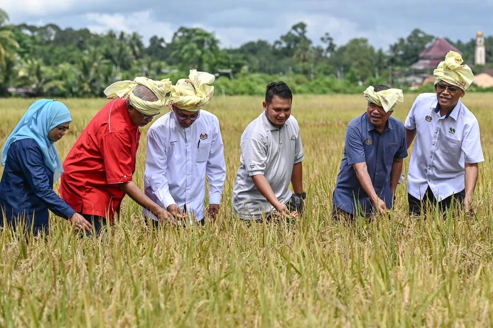 TINJAU BEKALAN PADI: Menteri Pertanian dan Keterjaminan Makanan, Datuk Seri Mohamad Sabu (dua dari kanan) meninjau kawasan sawah padi  di Kampung Gerai, Terengganu, baru-baru ini.