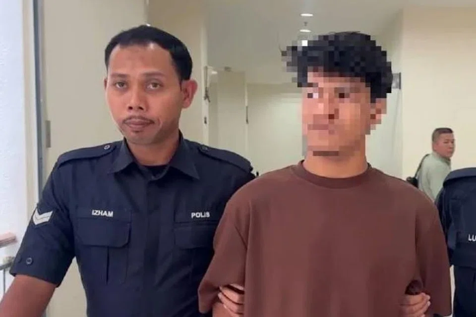 Remaja yang juga penghantar makanan didenda RM5,000 ($1,518), oleh Mahkamah Sesyen Muar, Johor, pada 15 Januari, kerana memiliki gambar dan video lucah remaja perempuan berusia 16 tahun. 