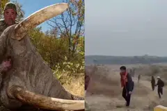 Gabon, Africa, Ernie Dosio, hunting, memburu, Lope-Okanda, Collect Africa