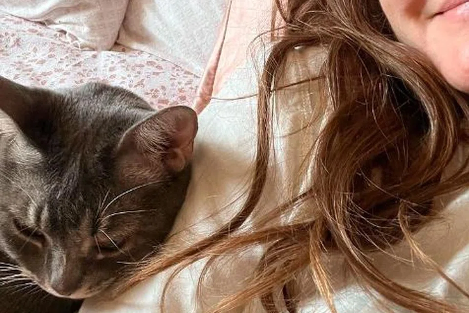 Pelakon, Drew Barrymore, pernah menyelamatkan kucing pada 2018 dan menjaganya. 