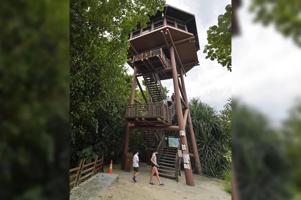 2. MENARA AERIE DI PAYA SIMPANAN SUNGEI BULOH. - Foto BH oleh ALPHONSUS CHERN