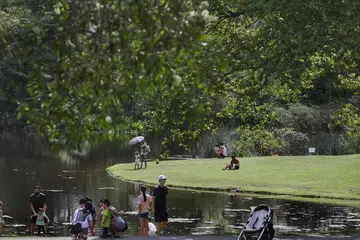 NParks menyatakan ia sedang menyemak dan mengemas kini kontraknya, bagi memastikan kerja yang dijalankan mengikut syarat  kontrak. 
