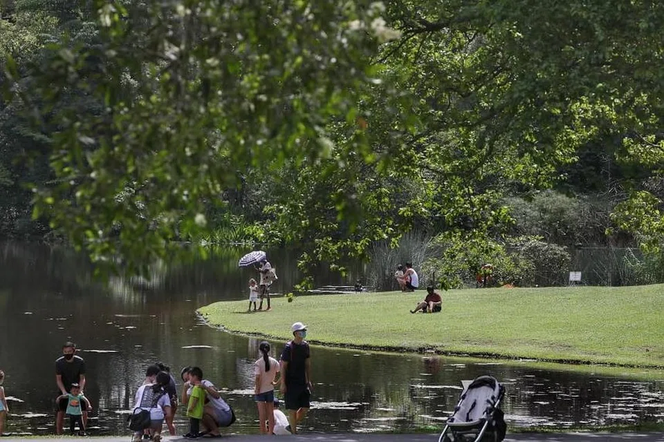 NParks menyatakan ia sedang menyemak dan mengemas kini kontraknya, bagi memastikan kerja yang dijalankan mengikut syarat  kontrak. 