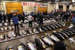 PINDAH: Pedagang akan menjual barang mereka buat kali terakhir di pasar Tsukiji pada 6 Oktober 2018.