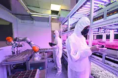 Pelajar melakukan pemeriksaan penyelenggaraan dan memerhati keadaan pertumbuhan untuk memastikan sistem automatik berfungsi dengan baik dalam pertumbuhan tanam-tanaman sebagai sebahagian usaha penyelidikan agri-makanan.