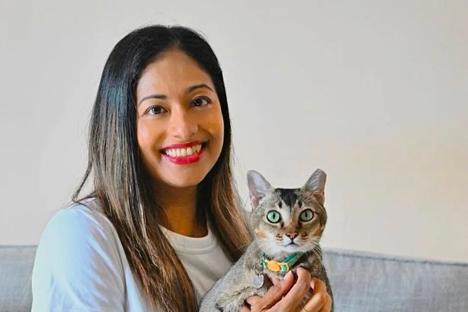 Perunding tingkah laku kucing, Cik Shelby Doshi, yang juga pengasas The Cat Whisperer Singapore, menyarankan agar pendandan menggunakan kaedah yang lebih mesra kebajikan untuk mengawal pergerakan kucing semasa sesi dandanan, seperti balutan tuala atau kon pelindung.