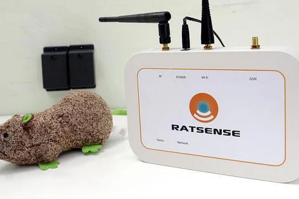 ALAT PENGESAN: Kaedah sistem sensor antara alat yang boleh digunakan bagi mengesan kehadiran tikus atau mondok di Asia. - Foto TAUFIK A. KADER