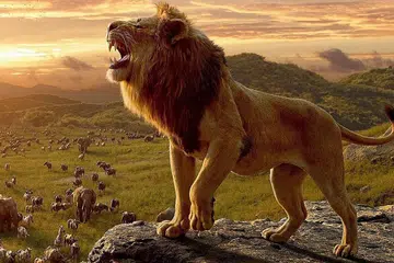 JERIH PAYAH RAJA RIMBA: Dalam filem animasi komputer fotorealistik, Simba menguasai belantara dalam satu perjuangan yang memerlukannya tangkas berbekalkan semangat setiakawan haiwan lain. - Foto DISNEY