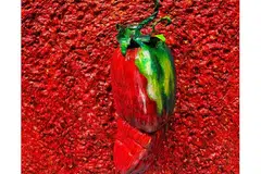 Singapura, pameran seni, Red is Hot, SPICY My Stories
