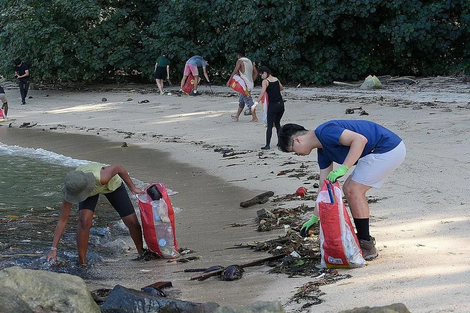 KUTIP SAMPAH: Sejak Januari, lebih 100,000 sampah, termasuk puntung rokok, pelitup pakai buang dan bahan bungkusan, telah dikutip di Singapura. - Foto-foto BH oleh DIOS VINCOY JR TINGKAT KESEDARAN: Bagi membangunkan masyarakat yang bersemangat mengurangkan sampah bandar dan meningkatkan kesedaran tentang isu ini, pasukan Stridy menganjurkan sesi pembersihan di tempat-tempat seperti Taman East Coast.