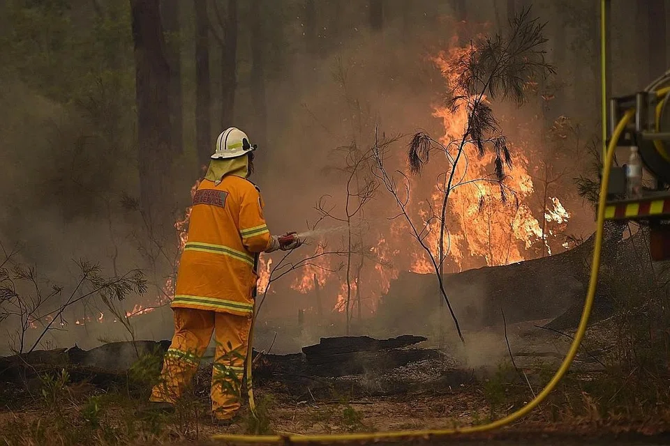 Aust terus bergelut dengan kebakaran belukar - Foto AFP