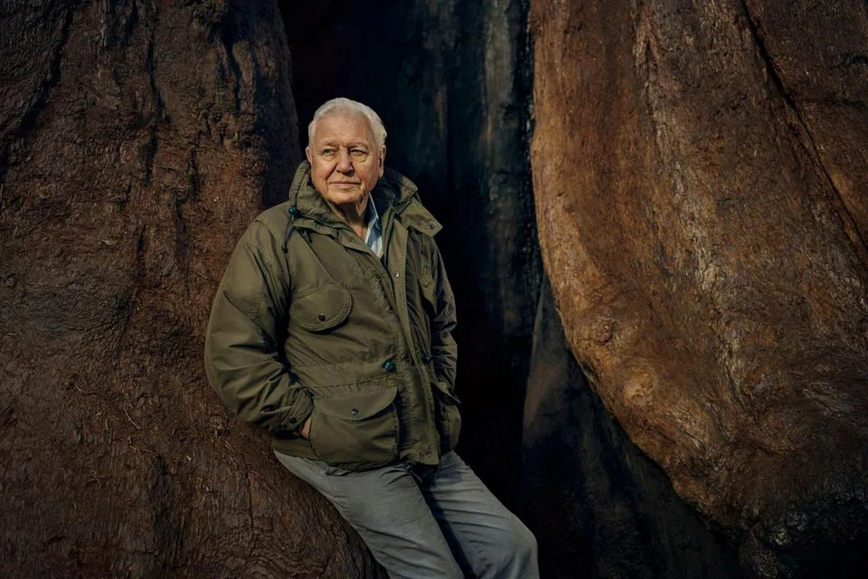 Sir David Attenborough.