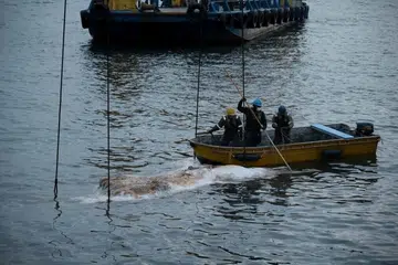 bangkai paus balin ditemui, perairan Singapura, 