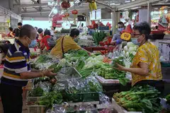 BUKAN LUAR JANGKAAN: Penjual sayur Singapura berkata kenaikan harga sayur bukan di luar jangkaan, sambil menambah sayur berdaun mudah rosak akibat hujan lebat. - Foto BH oleh KEVIN LIM