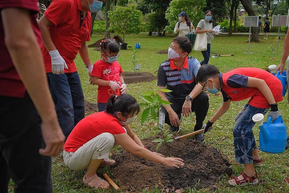 TANAM POKOK BERSAMA: Encik Chee Hong Tat (dua dari kanan) menyaksikan sebuah keluarga menanam pokok dalam satu acara di Taman Toa Payoh Town di Lorong 6 Toa Payoh semalam. Acara kerjasama CDAC dan NParks itu menyokong gerakan 'OneMillionTrees'. - Foto BH oleh MARK CHEONG