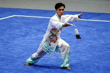 EMAS PERTAMA: Persembahan Chan di Gimnasium Cau Giay semalam mendapat 9.72 mata untuk menewaskan warga Indonesia Nicholas (9.71 mata) dan Jones Llabres Inso dari Filipina (9.70 mata). - Foto ZAOBAO