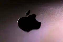 Menurut Apple, fungsi baru itu adalah kerjasama dengan platform pembayaran, pembangun aplikasi, dan rangkaian pembayaran.
