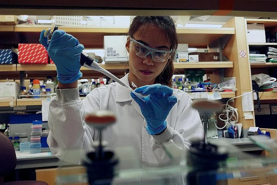 PERCEPAT UJIAN: Seorang penyelidik bekerja di makmal Sekolah Perubatan Duke-NUS bagi mengusahakan cara mengesan perubahan genetik yang mempercepat ujian vaksin terhadap koronavirus Covid-19 di Singapura. - Foto REUTERS