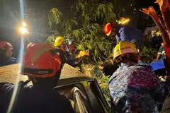 nahas, pokok tumbang, KL