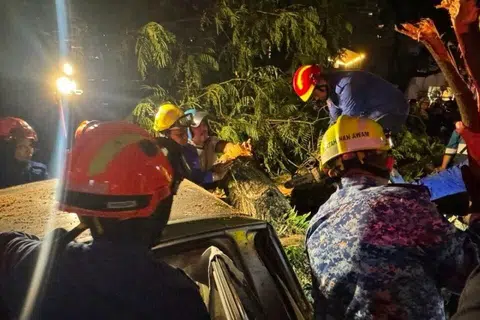 nahas, pokok tumbang, KL