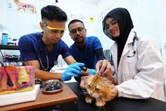 (Dari kiri) Teknisyen penjagaan haiwan, Encik Ilyas Fergo Junaidi bersama abangnya; pengasas KAET, Encik Ibrahim Fergo Junaidi; dan teknisyen penjagaan haiwan kanan, Cik Hanis Shameen Mohamed Feroz, sedang menilai tahap kesihatan kucing di pusat penjagaan kucing KAET di Centropod, berhampiran Geylang Serai.