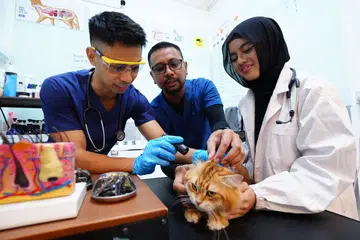 (Dari kiri) Teknisyen penjagaan haiwan, Encik Ilyas Fergo Junaidi bersama abangnya; pengasas KAET, Encik Ibrahim Fergo Junaidi; dan teknisyen penjagaan haiwan kanan, Cik Hanis Shameen Mohamed Feroz, sedang menilai tahap kesihatan kucing di pusat penjagaan kucing KAET di Centropod, berhampiran Geylang Serai.