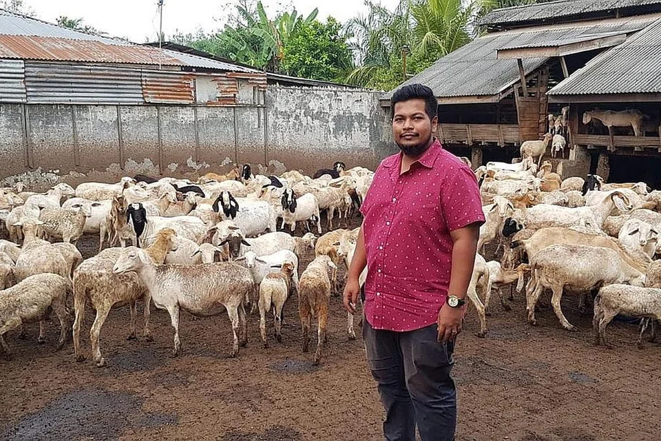 ANAK BANDAR TIDAK KEKOK: Encik Ashraf tidak kekok 'mengembala' kambing di dua negara.