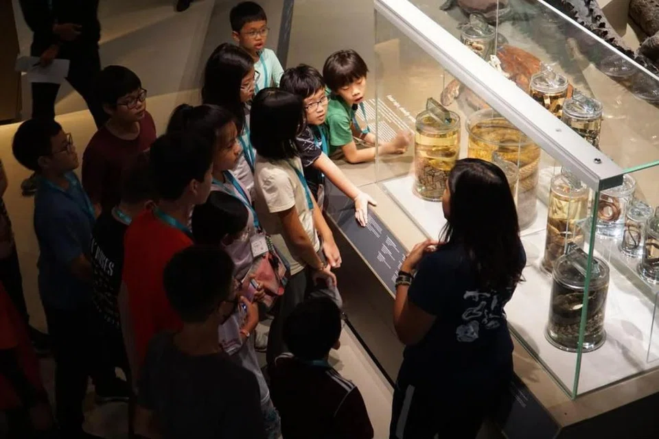Muzium Sejarah Alam Semula Jadi Lee Kong Chian akan mengadakan rumah terbuka pada 18 Mei.