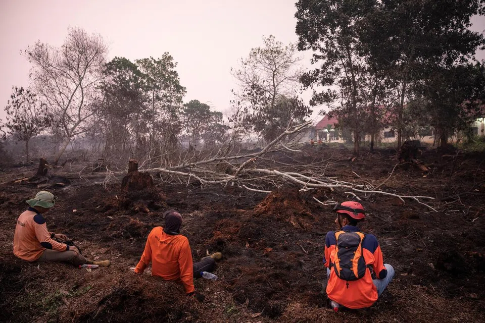 kebakaran hutan indonesia