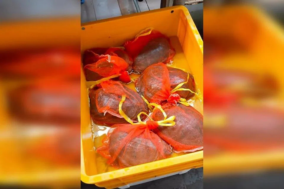 JUAL HAIWAN HIDUP: Anggota Parlimen Encik Louis Ng bertanya sama ada Kementerian Sekitaran dan Sumber Air akan mempertimbangkan cadangan untuk melarang amalan seperti itu. - FOTO: ACRES