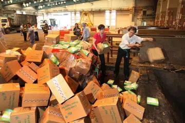 BUANG PRODUK TERCEMAR: Dalam gambar fail yang dirakam pada September 2008 ini, pegawai Penguasa Pertanian-Makanan dan Ternakan (AVA) dilihat membuang sekitar 500 karton produk tenusu Yili yang didapati mengandungi melamin ke dalam insinerator di Tuas. 