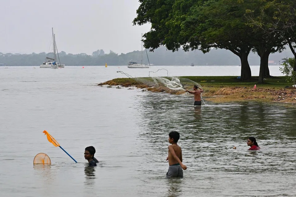 NEA menambah pantai Changi tidak terjejas secara langsung dengan limpahan minyak itu.