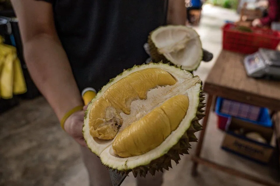 DIGEMARI RAMAI: (Gambar atas) Durian Musang King menjadi jenis durian yang digemari ramai di Malaysia dan juga negara lain. - Foto AFP
