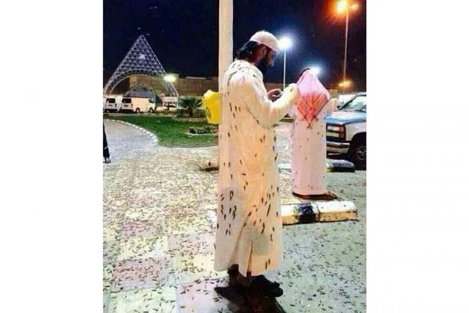 DIKERUMUNI SERANGGA: Jemaah ini dikerumuni serangga di kawasan berdekatan Masjidil Haram - Foto TWITTER 