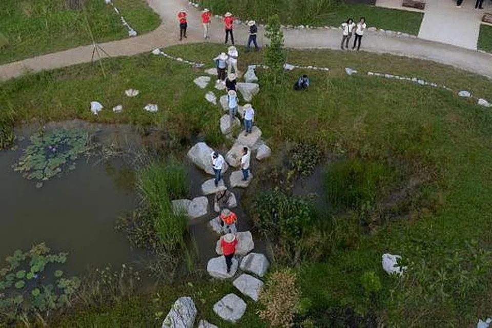 RUANG LUAS: Kawasan ini menempatkan beberapa paya di mana pengunjung dapat melihat biodiversiti jenis tumbuhan dan haiwan di sekitaran. - Foto TUKIMAN WARJI