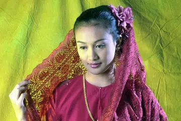 Busana Melayu, Pakaian Tradisional Melayu, Identiti Budaya Melayu, baju kurung